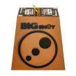 Big Shot Pro Hunter 16 Broadhead Archery Target