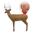 Big Shot Pro Hunter Double Duty Archery Target Buck