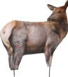 Montana Decoy Co RMEF Cow Elk Decoy