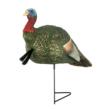 The Grind Half Strut Jake Turkey Decoy