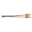 Ravin R339 Crossbow Bolts 400gr. 3 PK .001
