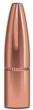 Speer Grand Slam Rifle Bullets 7mm .284" 160 gr GSSP 50/ct