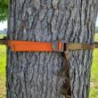 Tethrd HYS Strap Gear Hanger Coyote Tan
