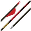 Gold Tip Hunter 300 2in Raptor Vanes - 1/2dz