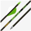Gold Tip Hunter XT 340 2in Raptor Vanes - 1/2dz