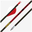 Gold Tip Kinetic 500 2in Raptor Vanes - 1/2dz