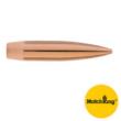 Sierra MatchKing Rifle Bullets .30 cal .308" 210 gr HPBT 50/ct