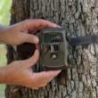 Covert Scouting Cameras MP30